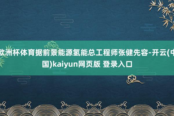 欧洲杯体育据前景能源氢能总工程师张健先容-开云(中国)kaiyun网页版 登录入口