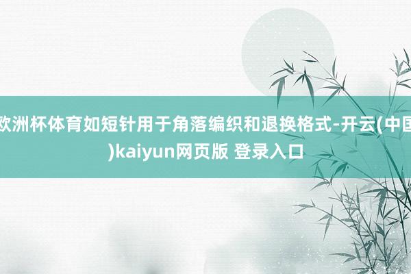 欧洲杯体育如短针用于角落编织和退换格式-开云(中国)kaiyun网页版 登录入口