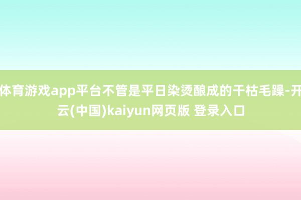 体育游戏app平台不管是平日染烫酿成的干枯毛躁-开云(中国)kaiyun网页版 登录入口