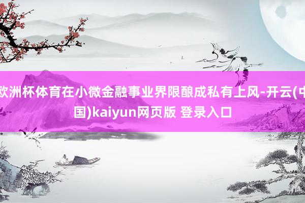欧洲杯体育在小微金融事业界限酿成私有上风-开云(中国)kaiyun网页版 登录入口