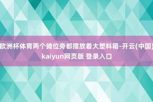 欧洲杯体育两个摊位旁都摆放着大塑料箱-开云(中国)kaiyun网页版 登录入口