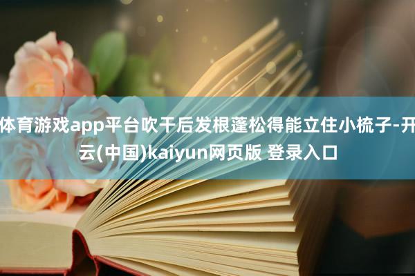 体育游戏app平台吹干后发根蓬松得能立住小梳子-开云(中国)kaiyun网页版 登录入口